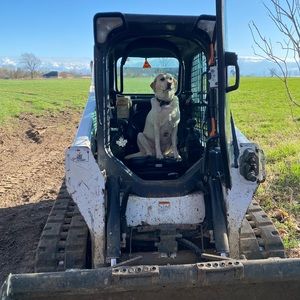 Meet your Posher, Justin